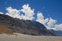 Ladakh-DSC_0177.jpg