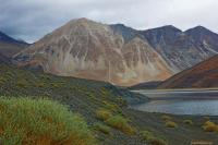 Ladakh-DSC_9472-01.jpg