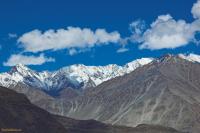 Ladakh-DSC_9691-01.jpg
